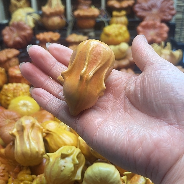 过***了大叶紫檀（黑酸枝木类）
