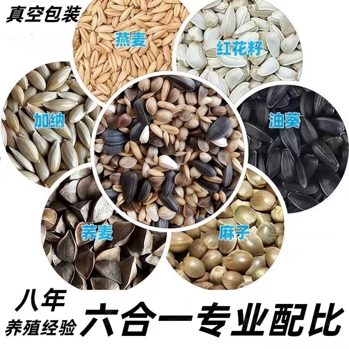 手养宠物鹦鹉五合一混合粮混合营养80g鸟粮适合小太阳金太阳和尚
