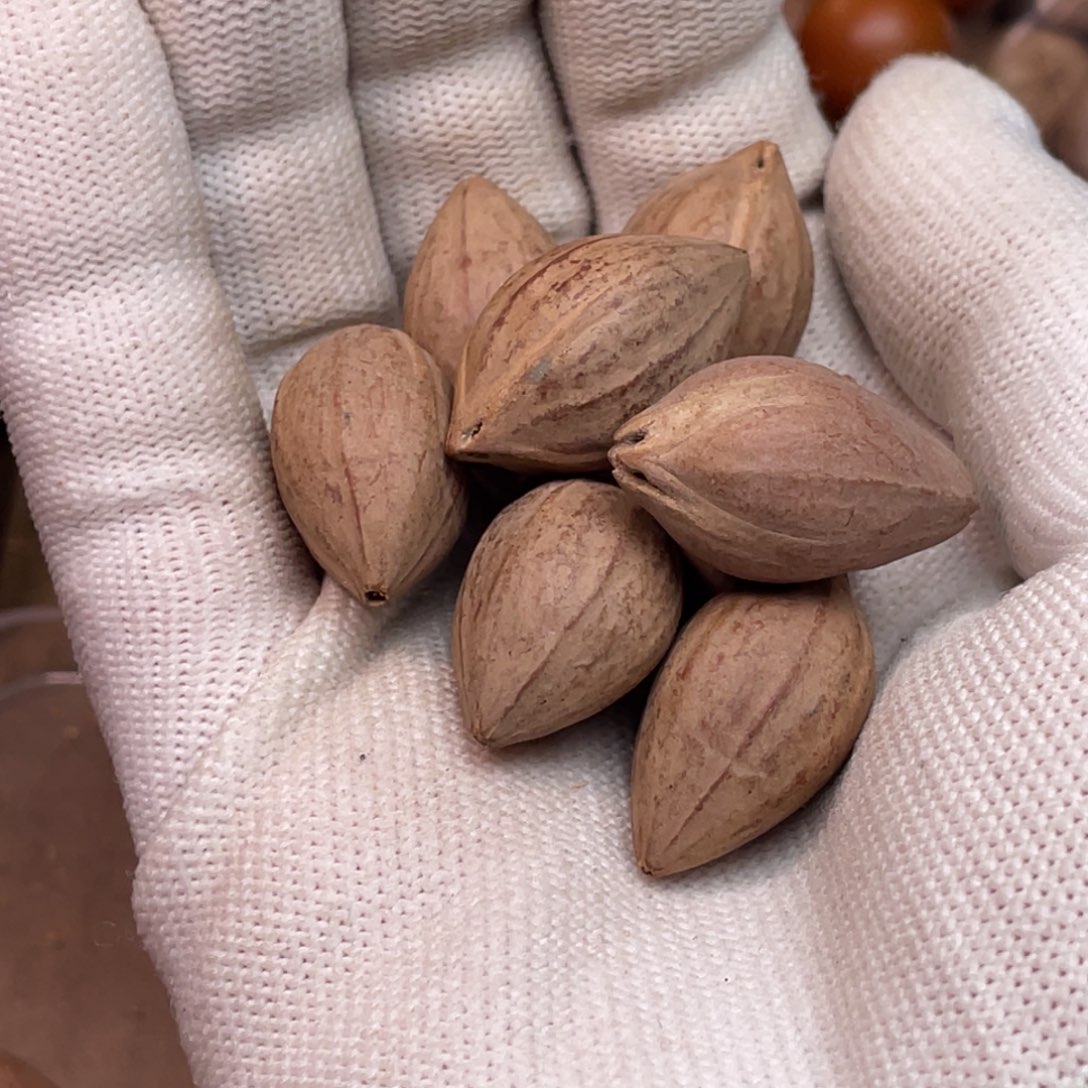 L***n手串/手链橄榄核1