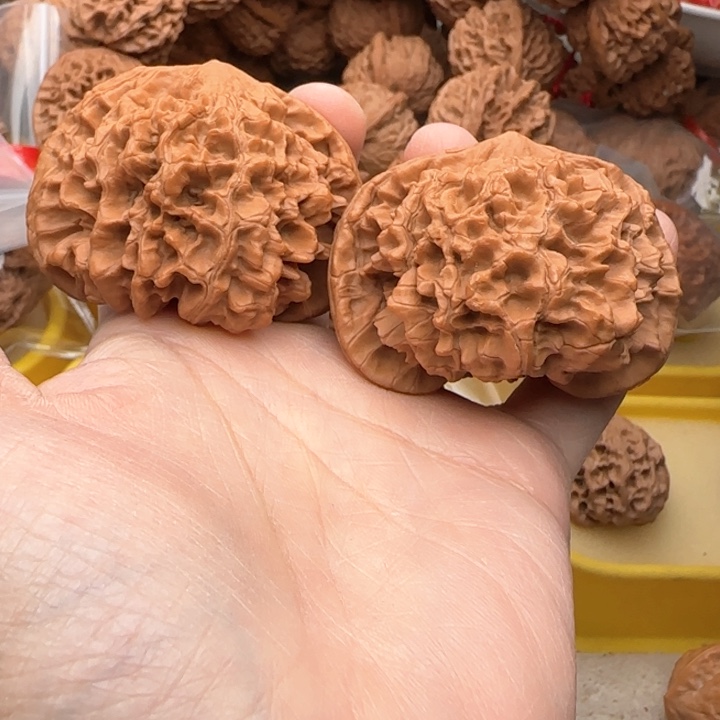 文玩核桃吊坠柿***子大官帽52尖伤