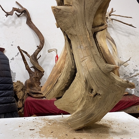 红***️柏木我们都是好孩子