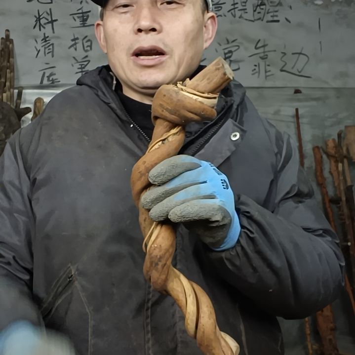 稳定木?****?贵州檬子木   铁马鞭   根艺  半成品