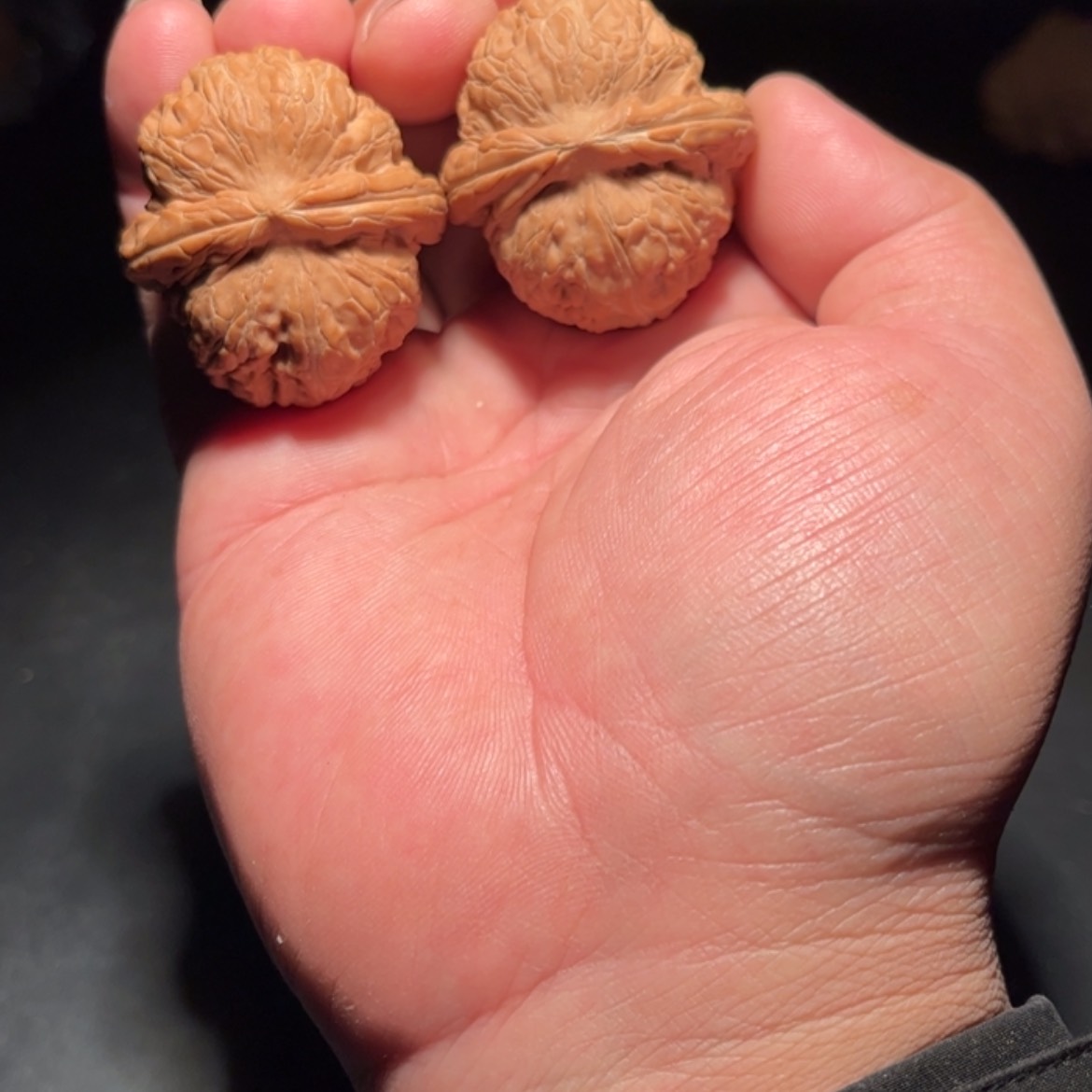 【闪购商品】红****鱼文玩核桃木制手把件