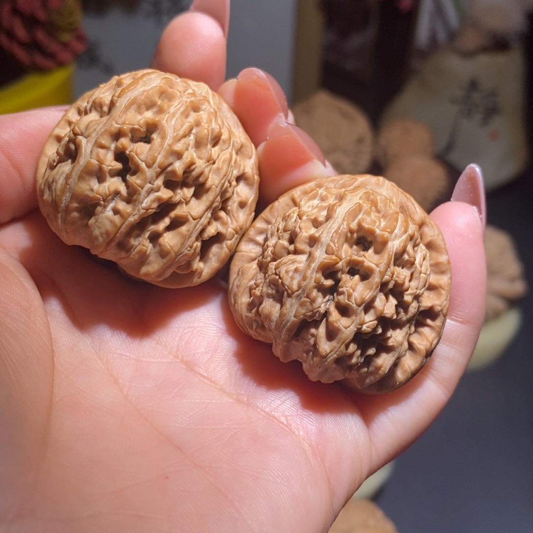 把件文玩核桃全品白狮子36.5