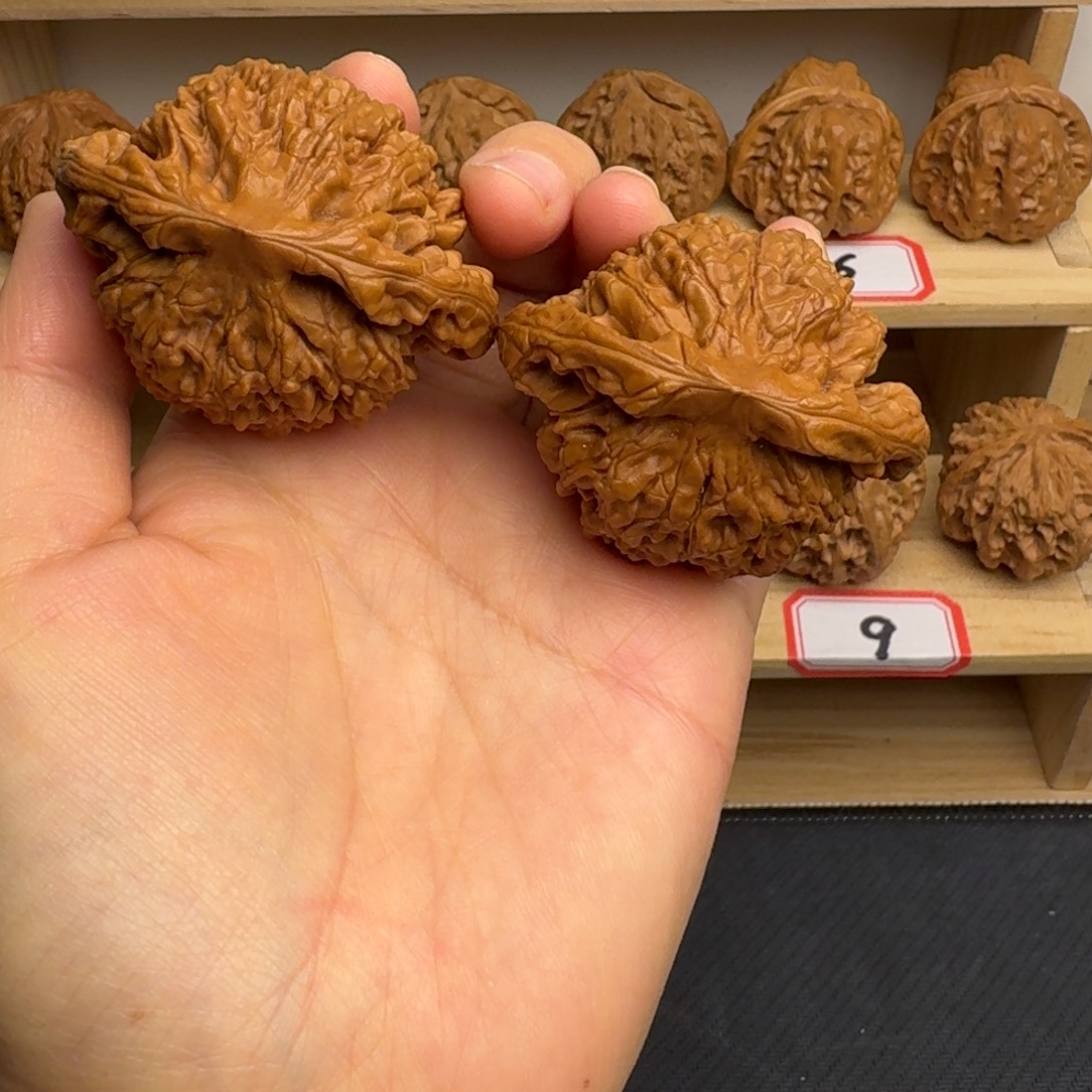 文玩核桃把件全品53尺官帽