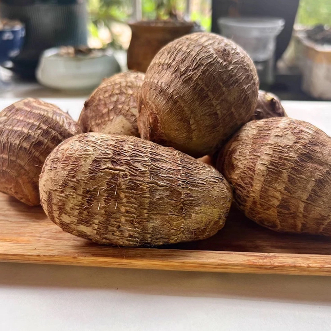 云南新鲜应季牛奶芋头现挖现发香甜软糯