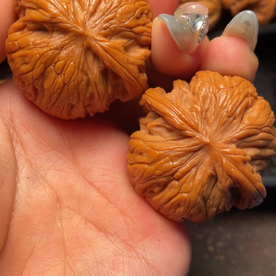 文玩核桃把件秦岭山脉核桃