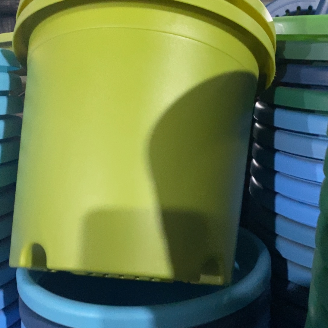 树脂特价4#无拖果绿8