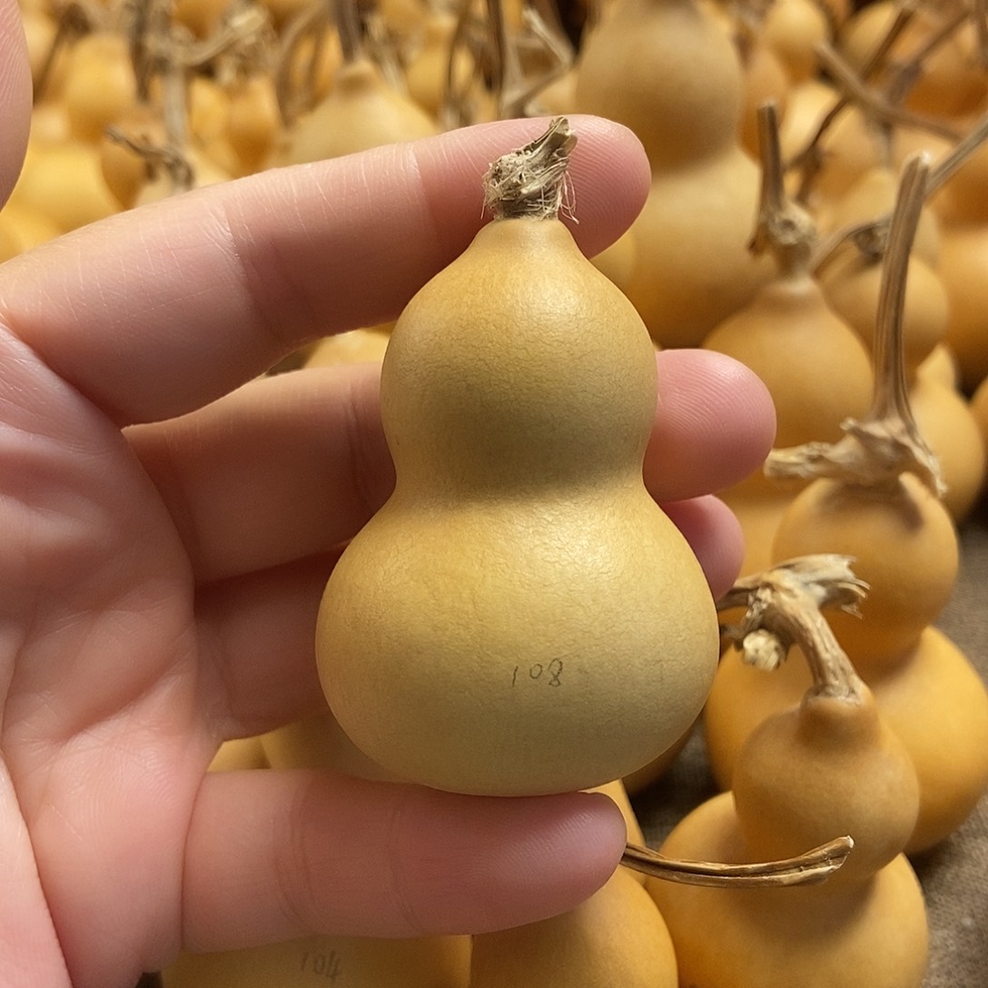 文玩葫芦 完美主义者 慎拍108