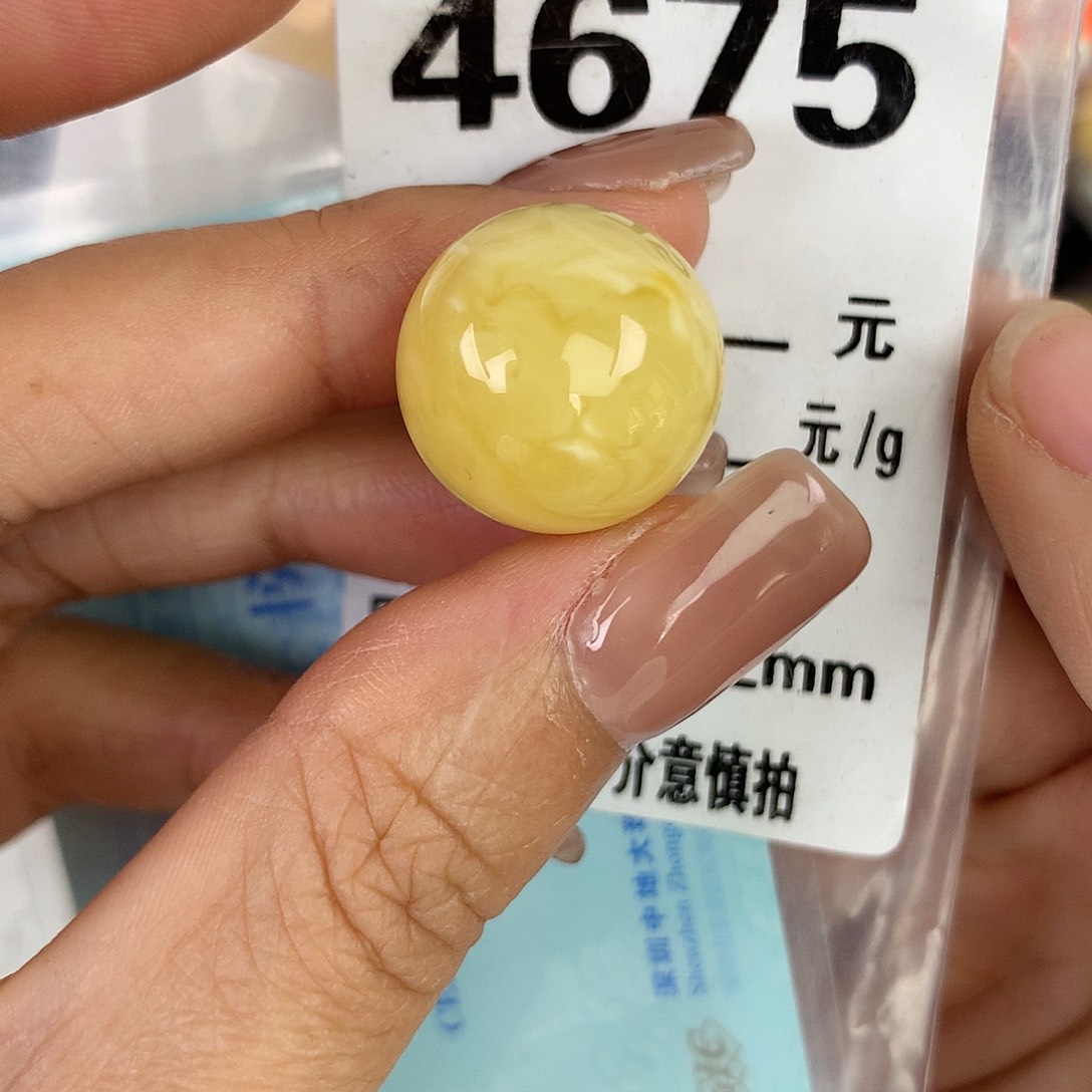 蜜蜡未镶嵌珠宝奇石17.2 植物