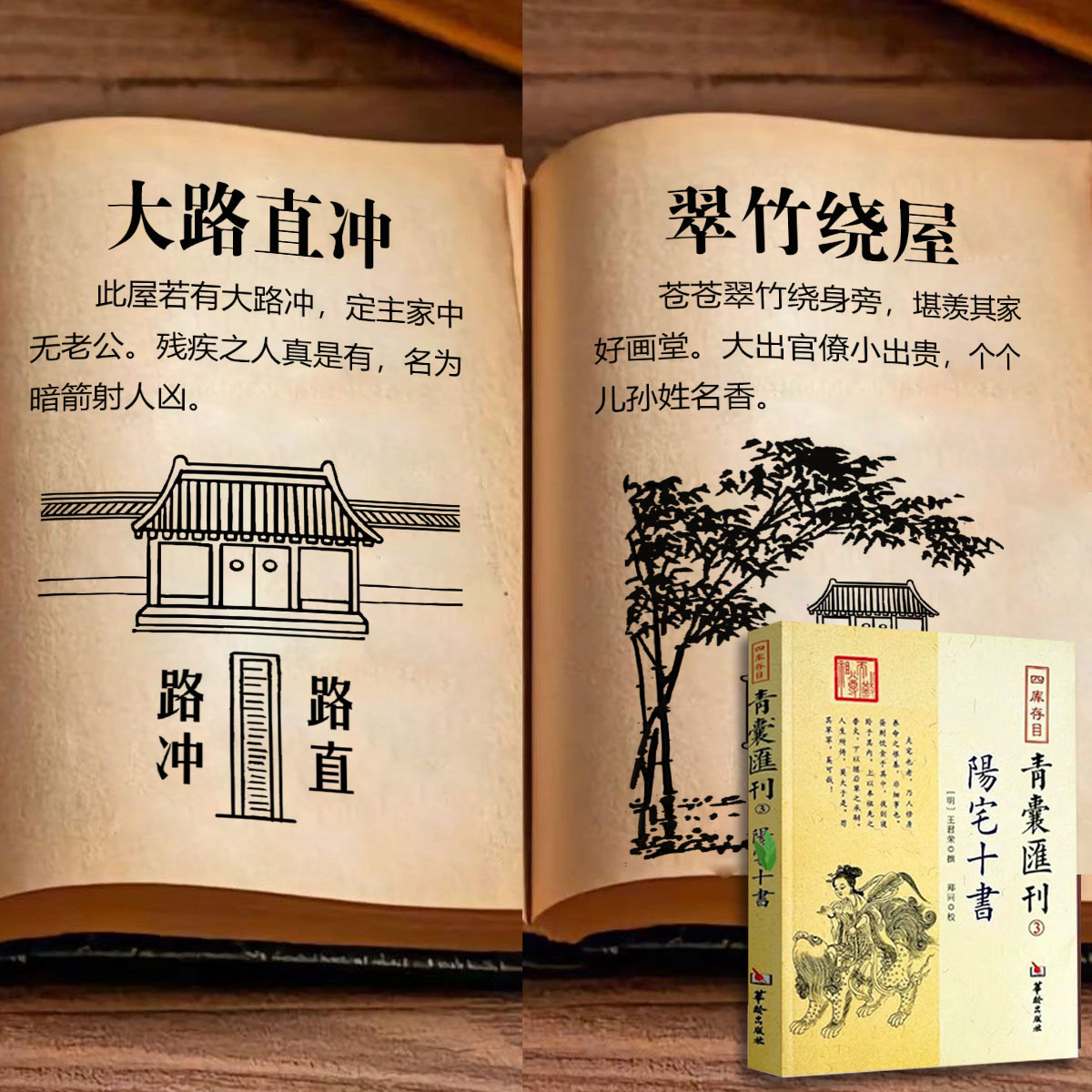  图解住宅风水  王君荣撰 阳宅十书 中国古代国学典籍