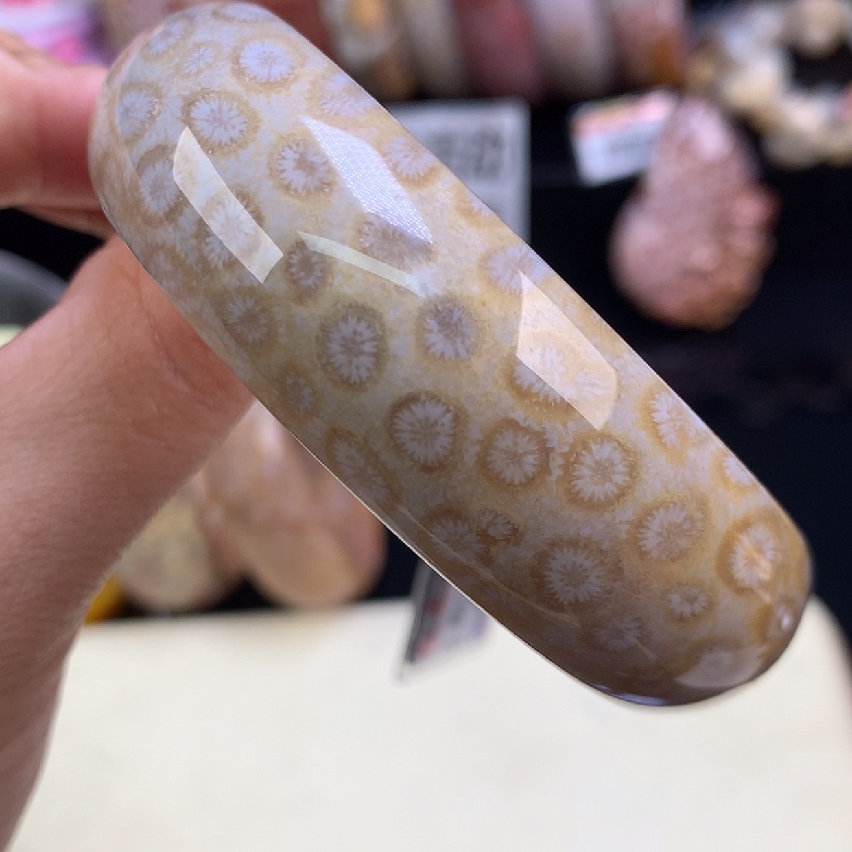 【闪购商品】颈饰未镶嵌硅化珊瑚（珊瑚玉）41号双面花58圈