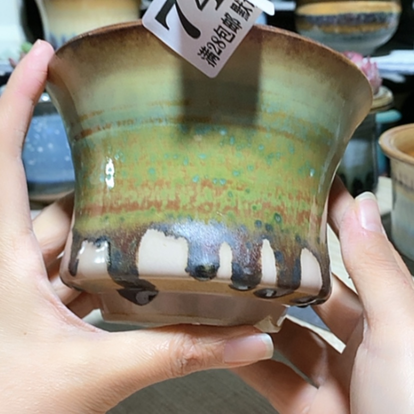 【闪购商品】红陶口13.5