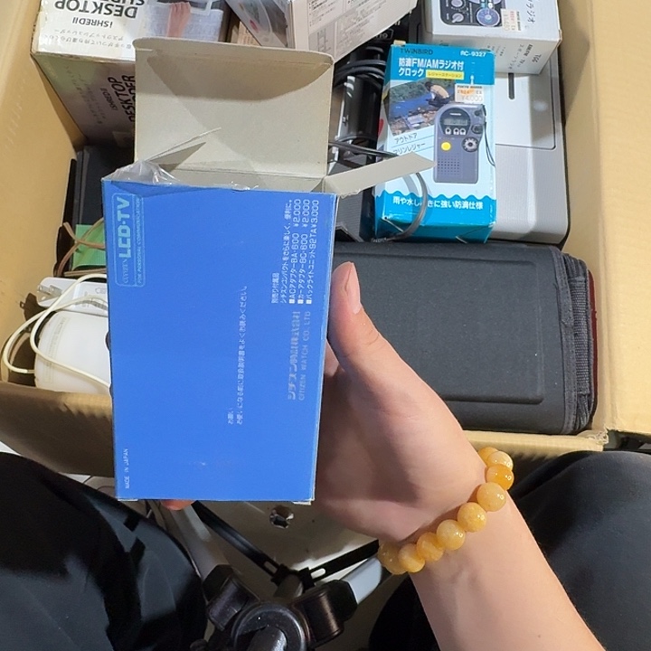 不***鱼中古时期是世界文明碧玺（处理）