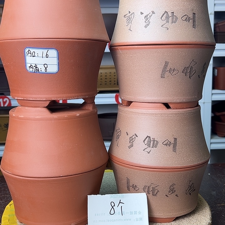 花盆紫砂蛇年大吉