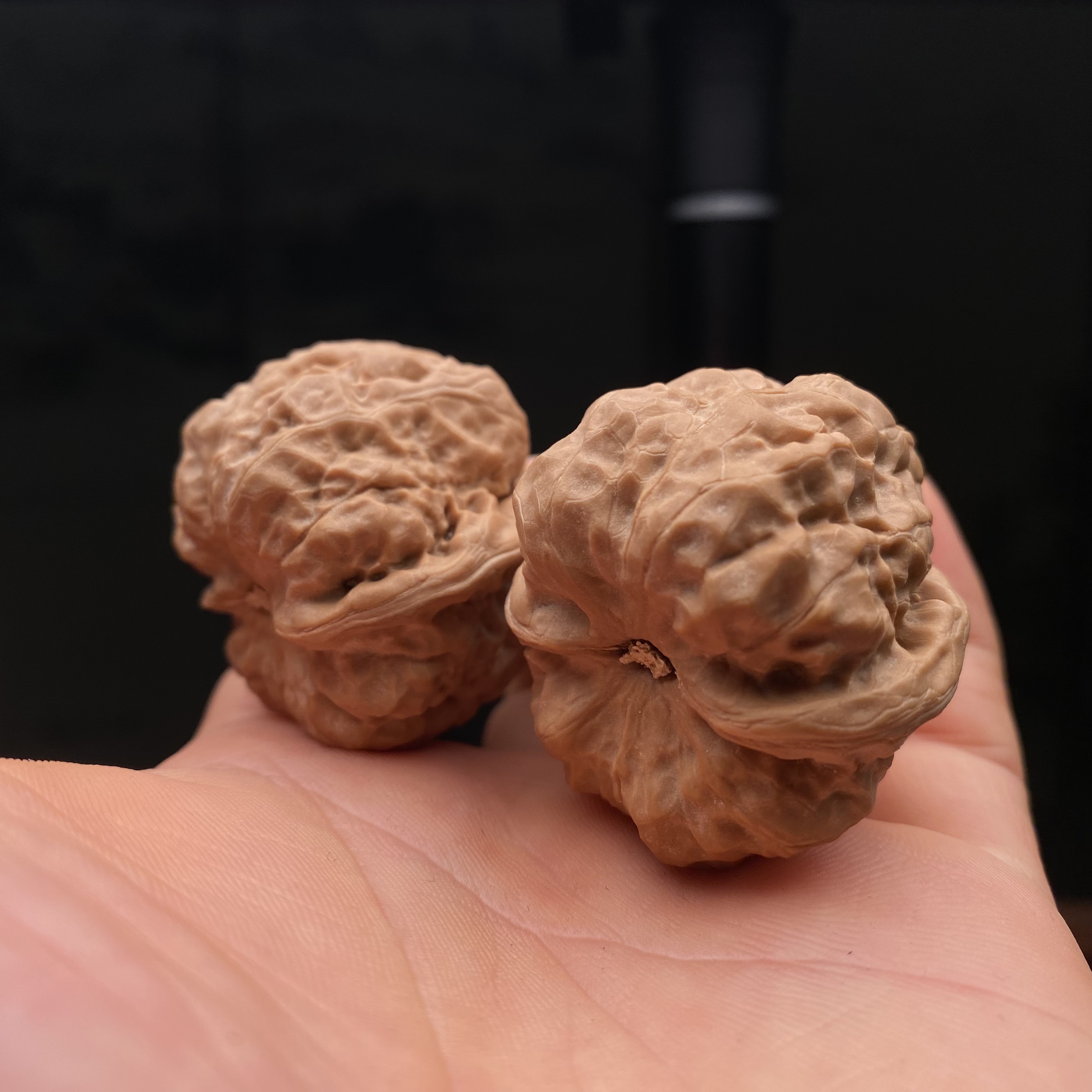 编号25278，边37肚39，延庆山地果，高桩肥三角四面浅开！