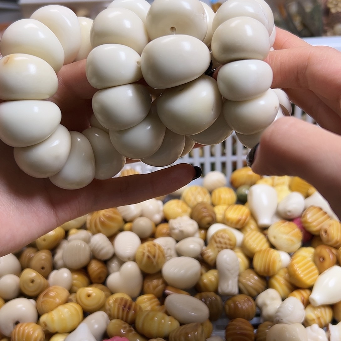 菩提根/象牙果吊坠四条算瓣瑕疵有坏有裂