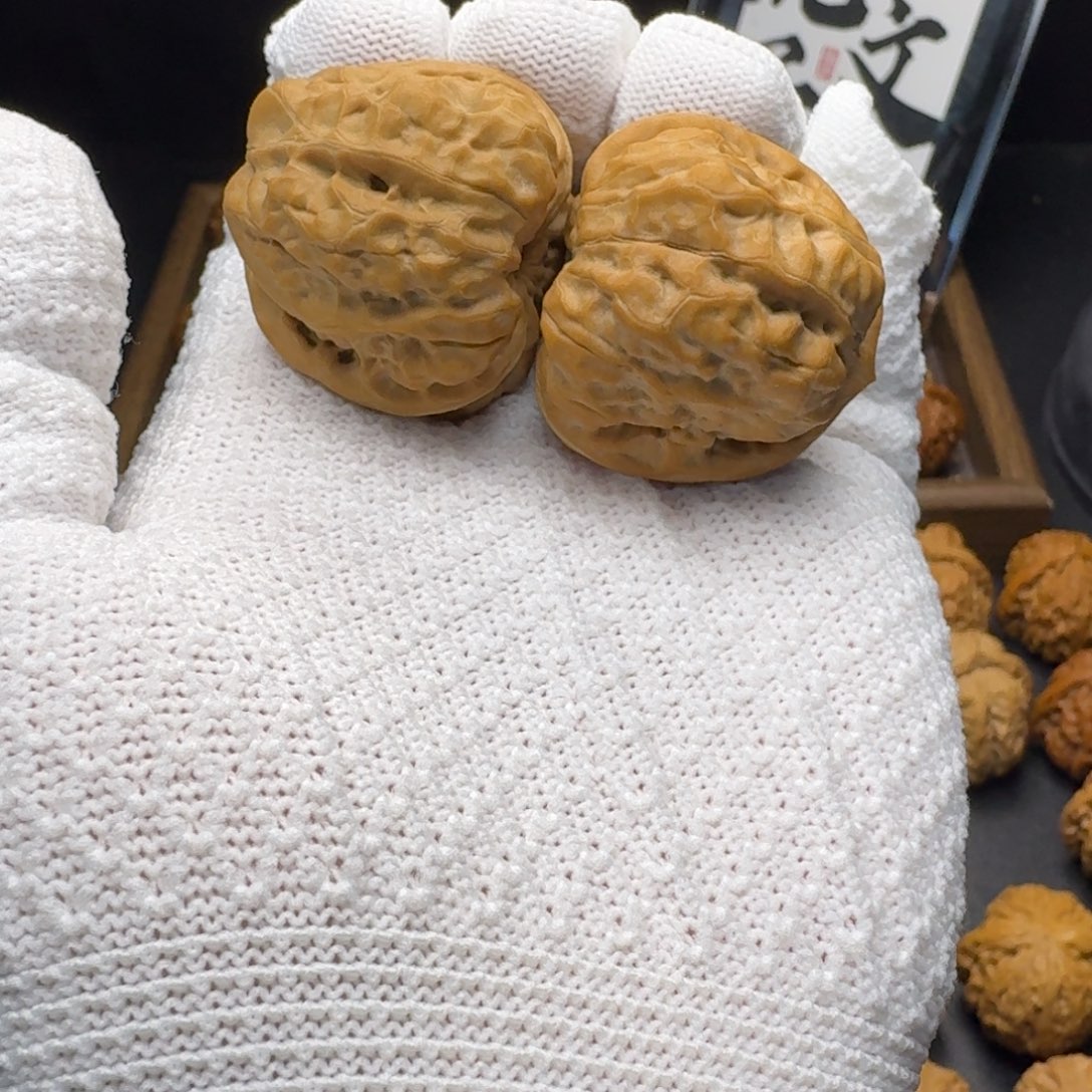 核桃闪电购36蛤蟆头