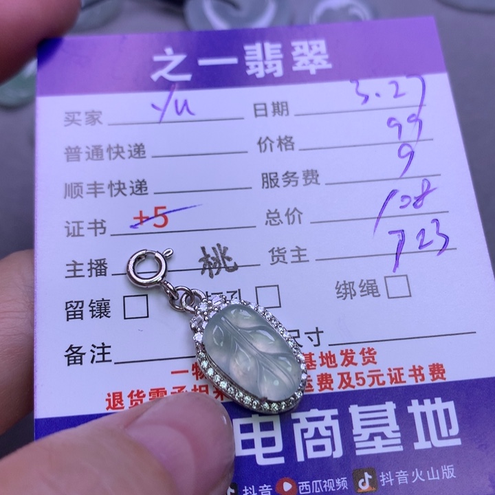 翡翠银S925镶嵌颈饰y**u