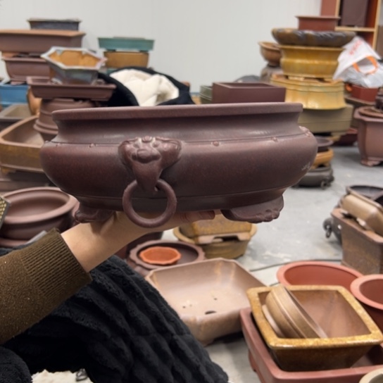 看***透紫砂花盆中香薰装饰