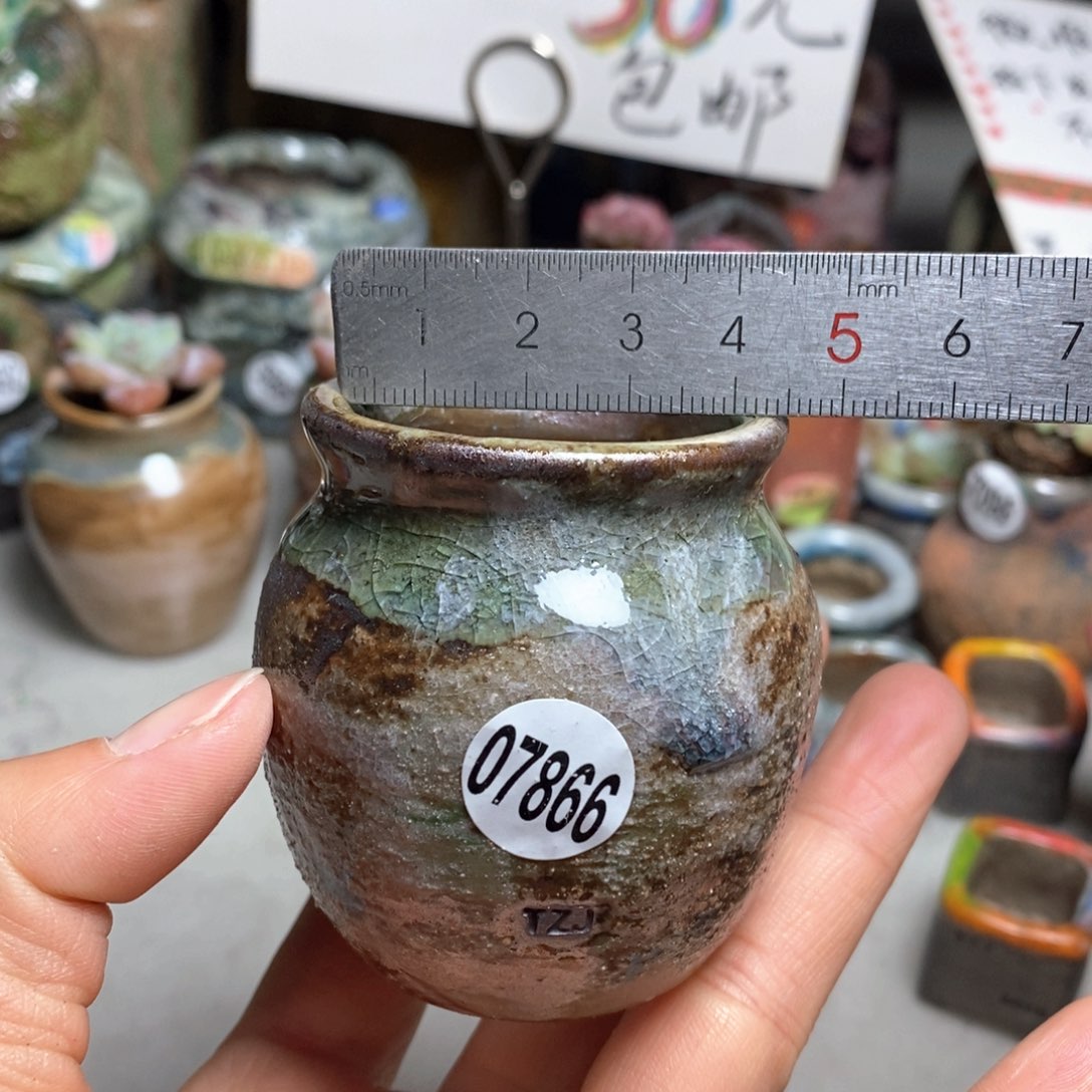 花盆拍5送一个小礼物