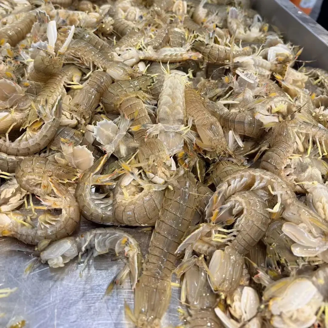 公虾爬子渤海湾当天海捕顺丰冷链保鲜！只只饱满新鲜鲜甜！