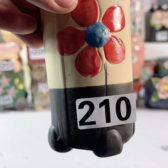 红陶多肉植物花盆