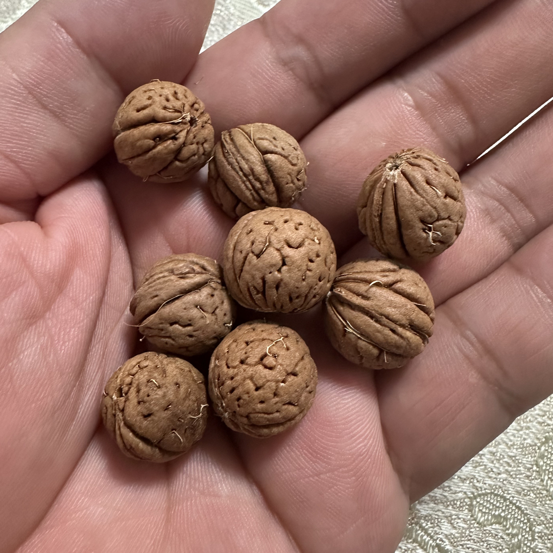 10尺寸庄高9，108脖挂