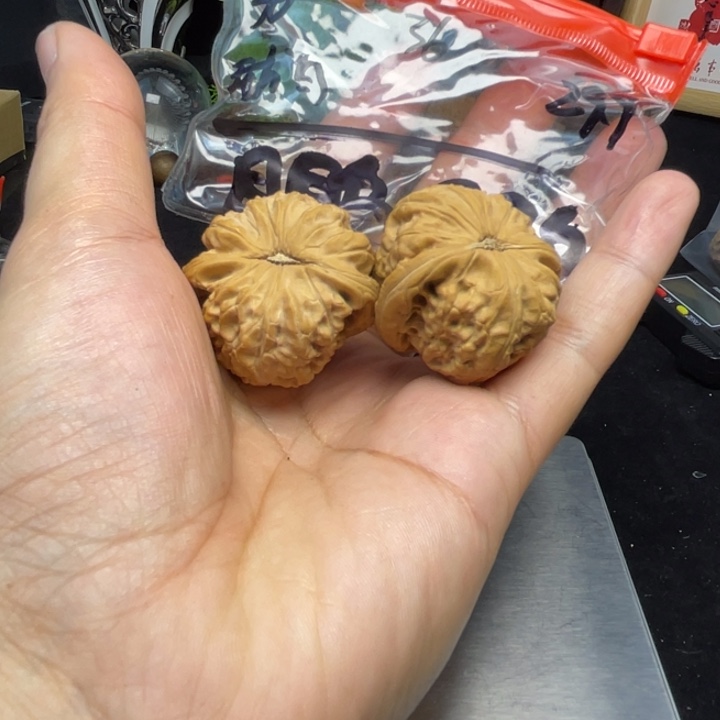 文玩核桃把件鹏***鹏白狮子