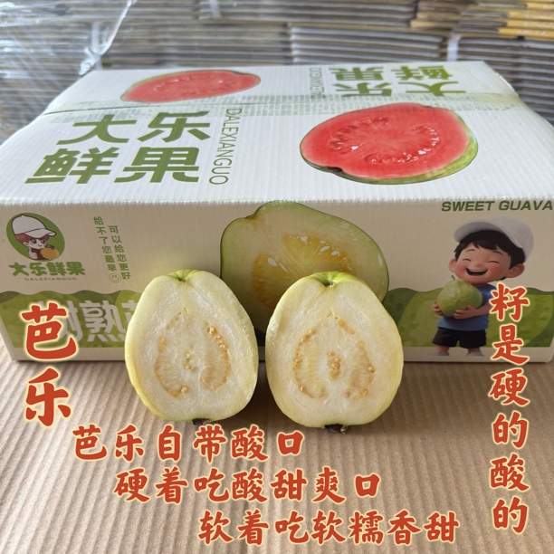 【大乐鲜果 顺丰快递】奶油白心芭乐和红心芭乐5斤装