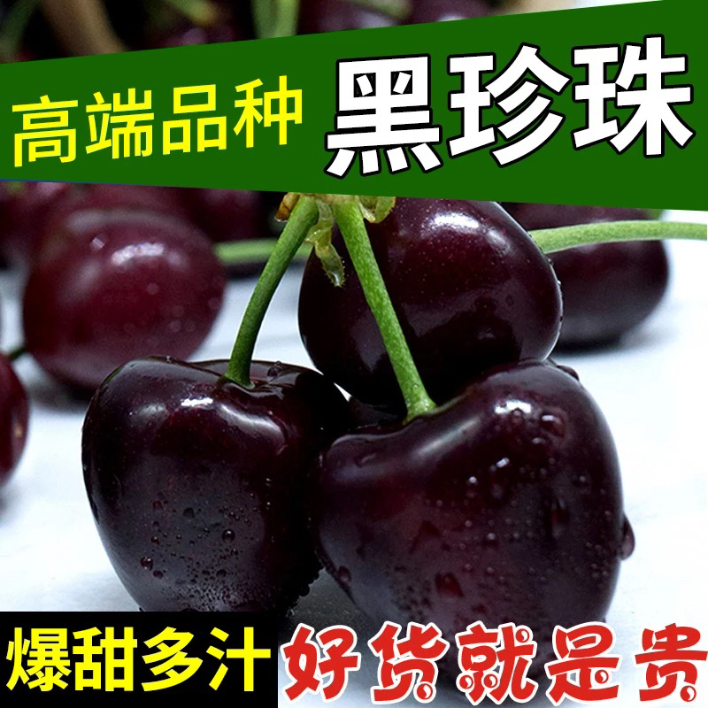 【送1斤】川渝黑珍珠车厘子 买2斤送1斤 到手净重3斤J【坏果包赔】黑珍珠樱桃