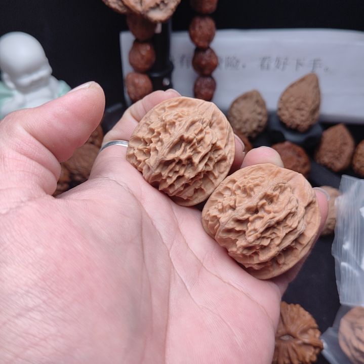 z***清天地狮子头112222254778