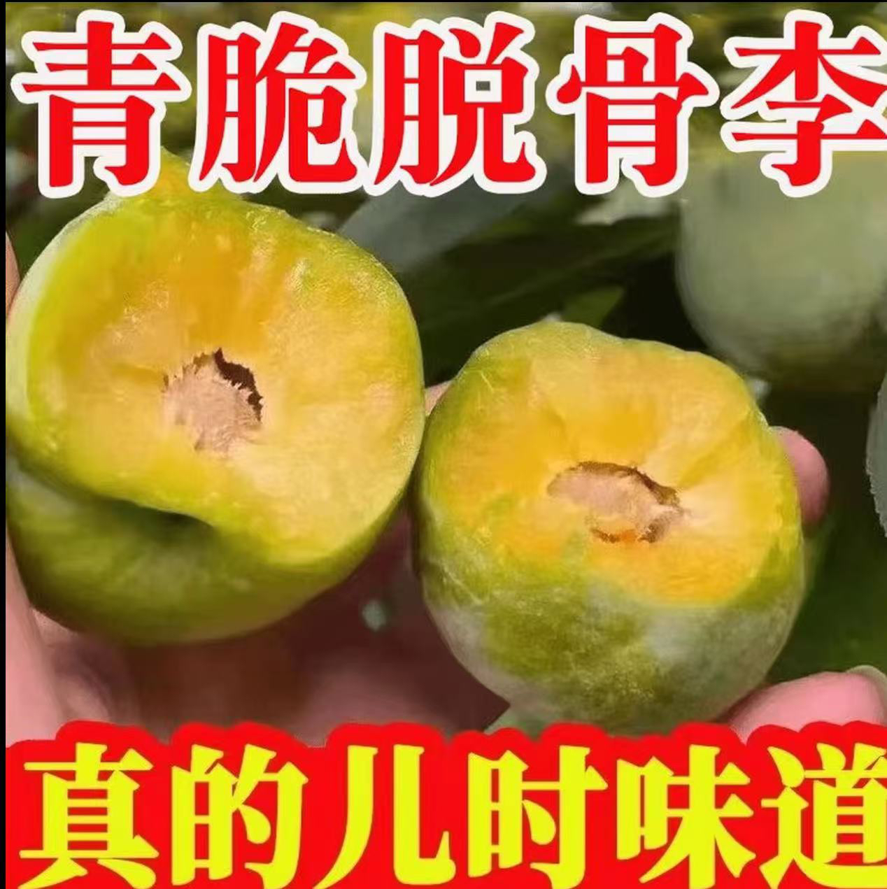 青脆脱骨李新鲜现摘应季水果酸甜可口