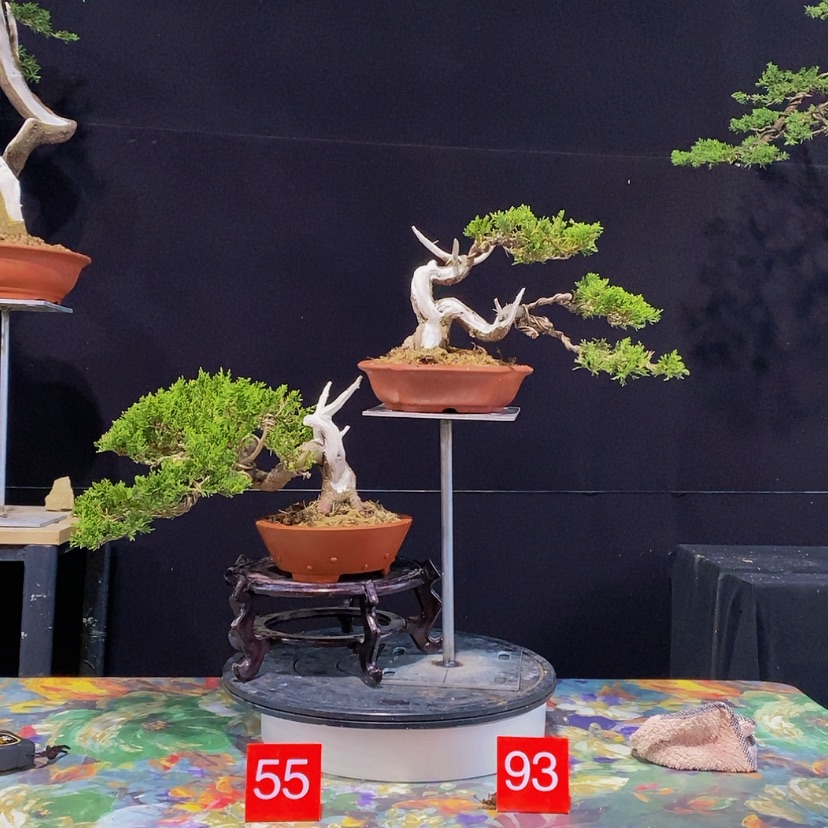 【闪购商品】完全开放五****弟