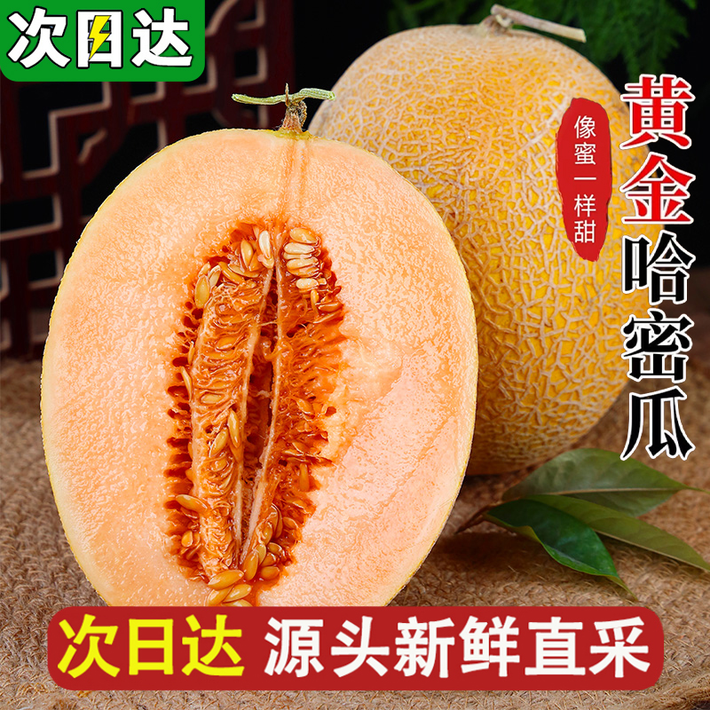 【明日达】新疆直采吐鲁番火焰山金色年华哈密瓜香甜多汁新鲜水果新疆维吾尔自治区