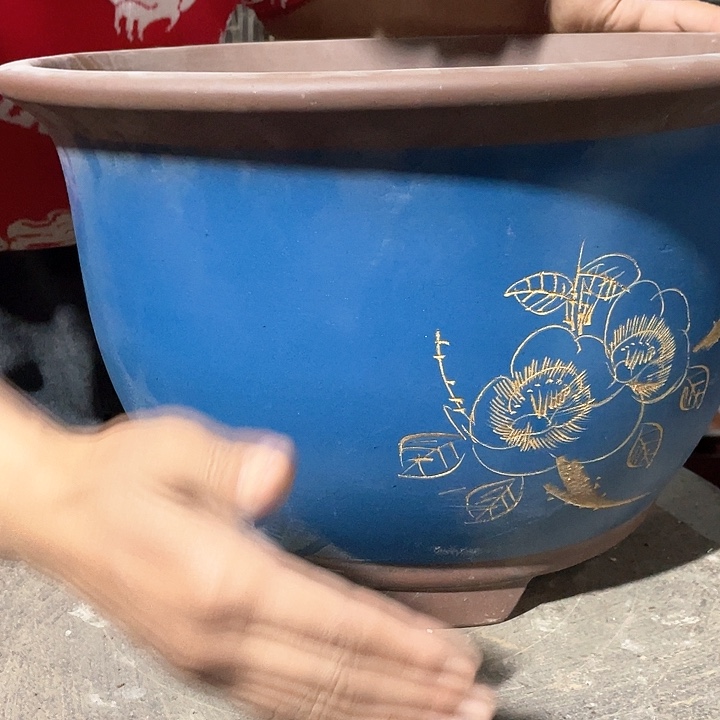 紫砂41蓝色三角金钟