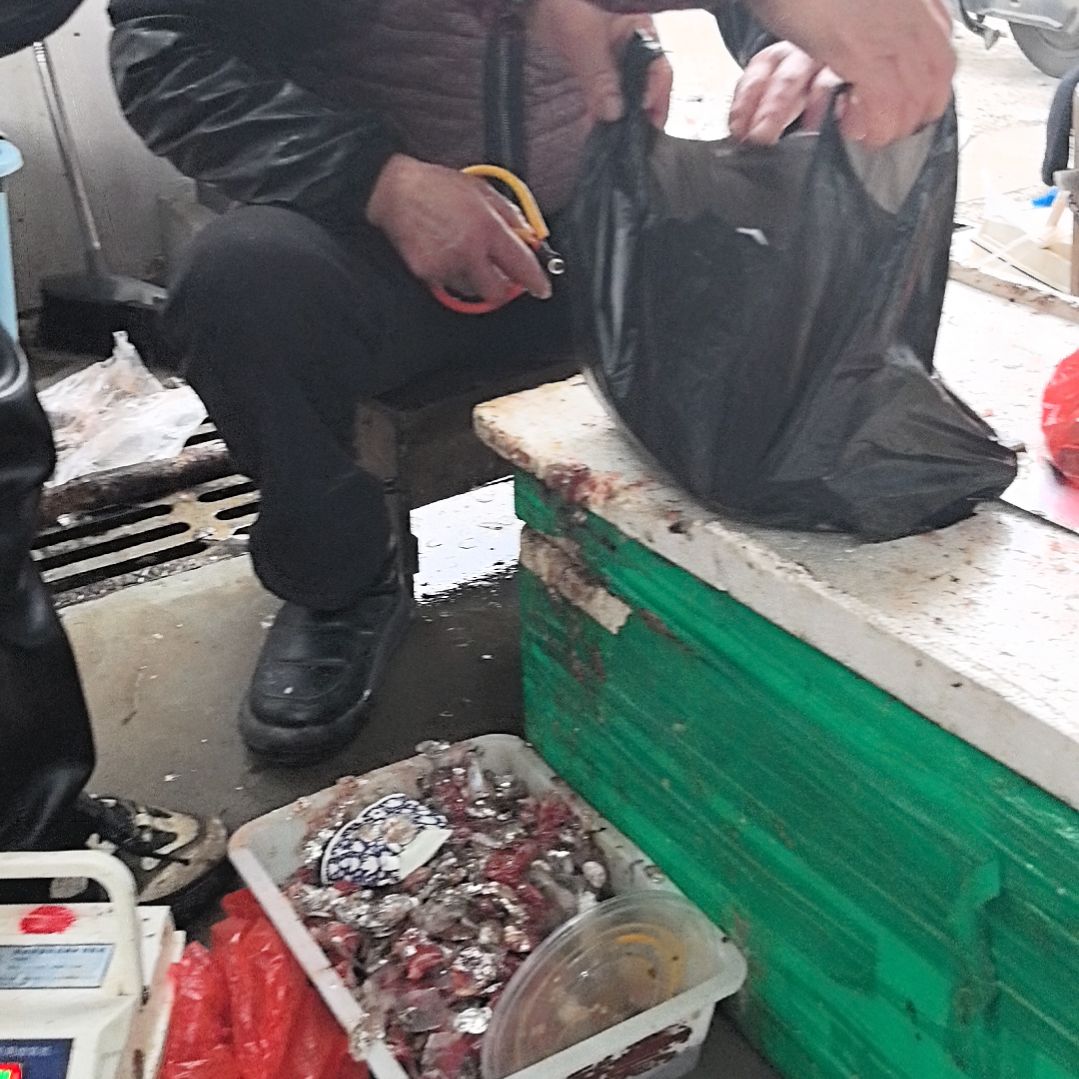 石台小李代购桂鱼2.06斤