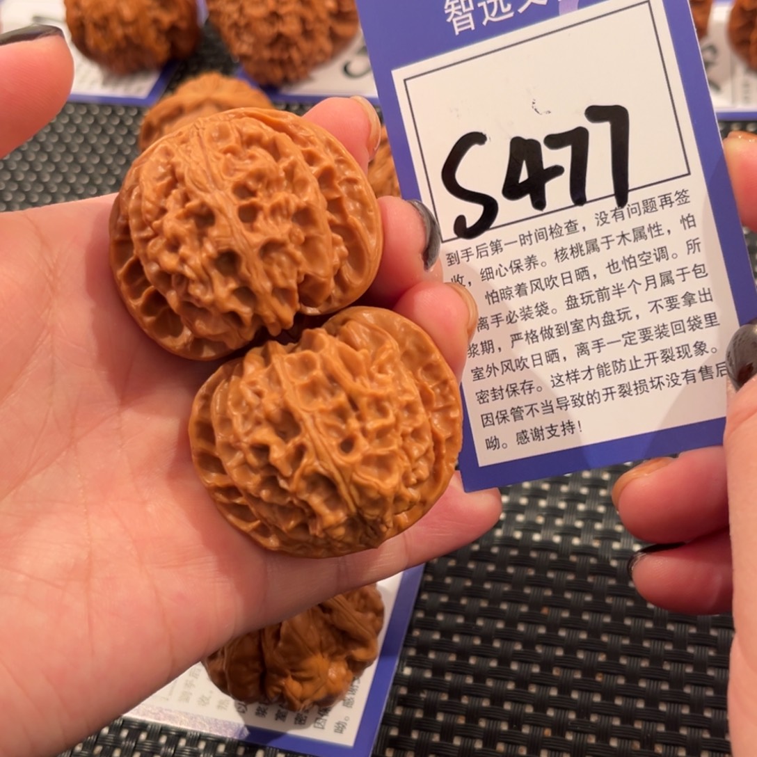 核桃S477号苹果园42尺