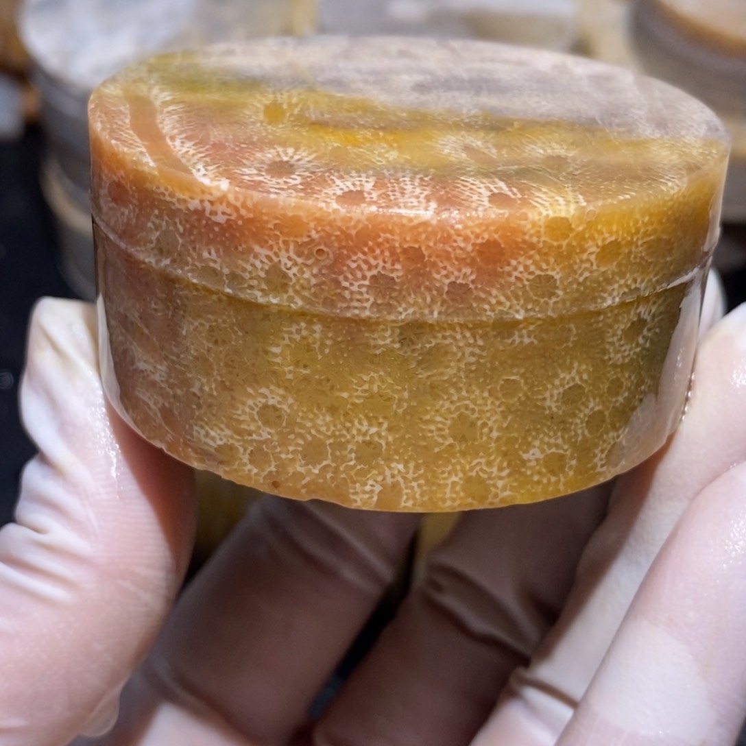 【闪购商品】硅化玉珊瑚玉未镶嵌