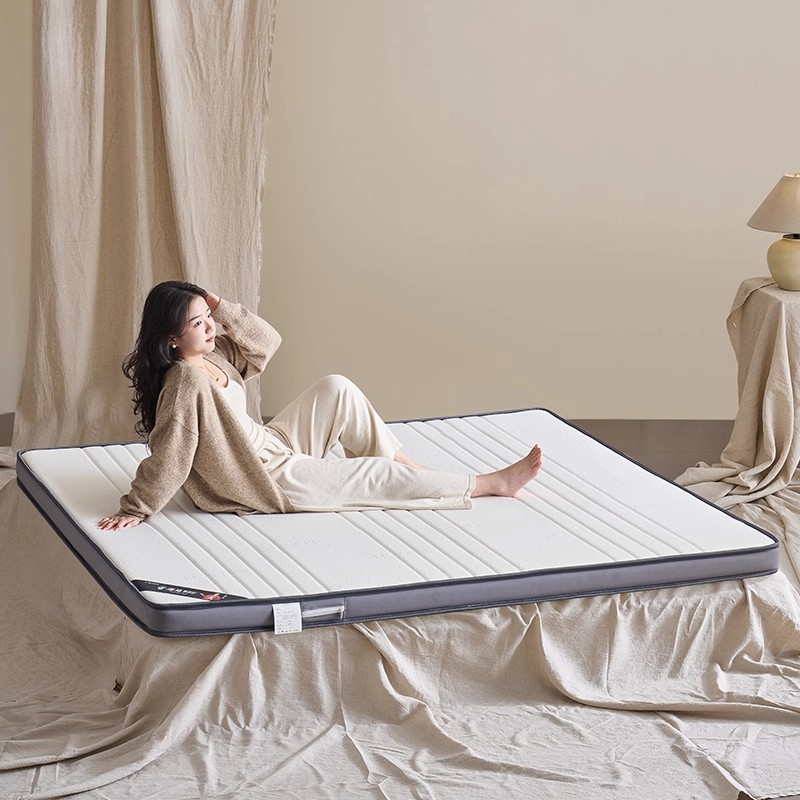 护脊防霉环保椰棕床垫地铺榻榻米硬垫加厚单人睡垫