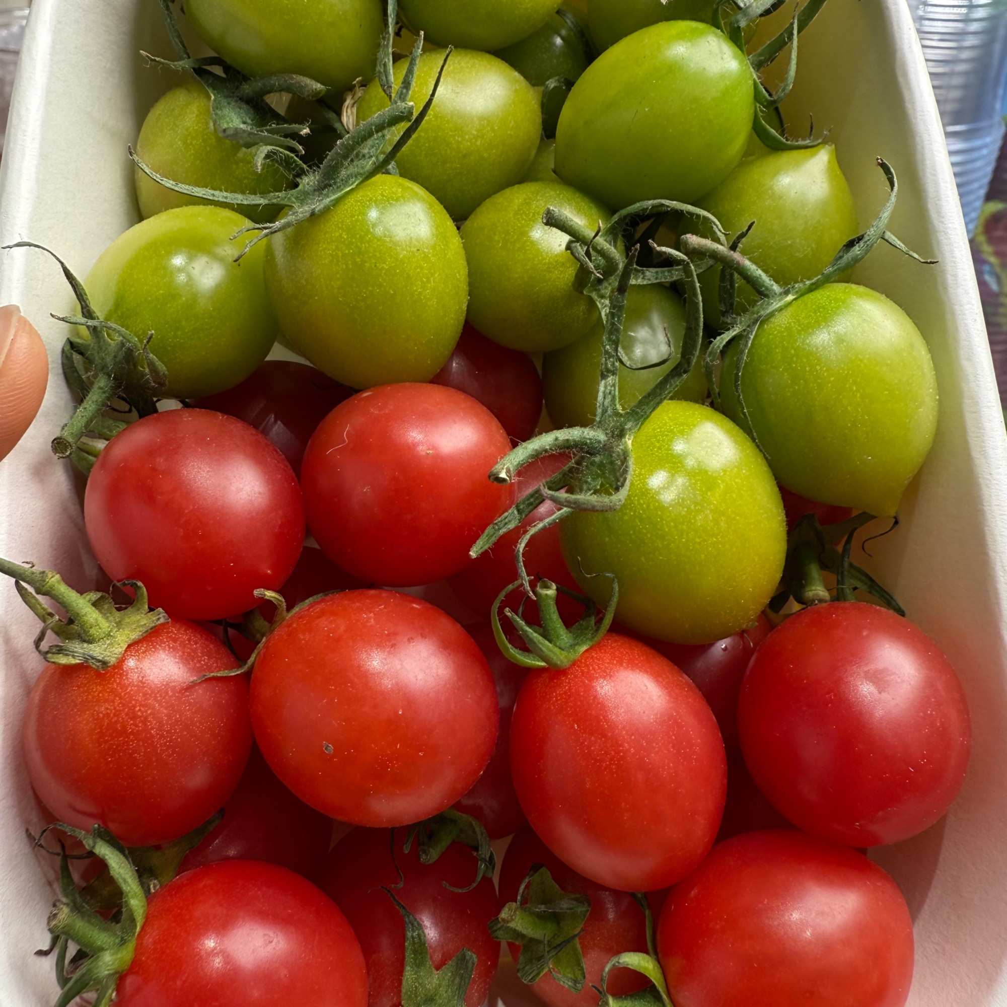 【果小姐】青霞小番茄和冰糖千禧双拼15.8元350g番茄同城配