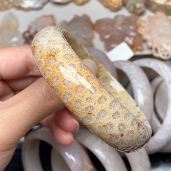 硅化珊瑚（珊瑚玉）手镯未镶嵌59