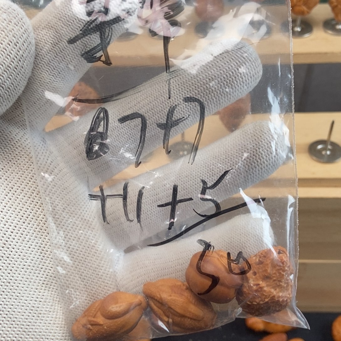 【闪购商品】吊坠橄榄核寻*橄榄核寻常