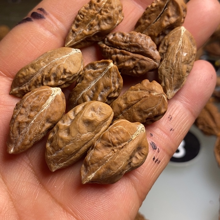 桃核吊坠拿姐工艺76