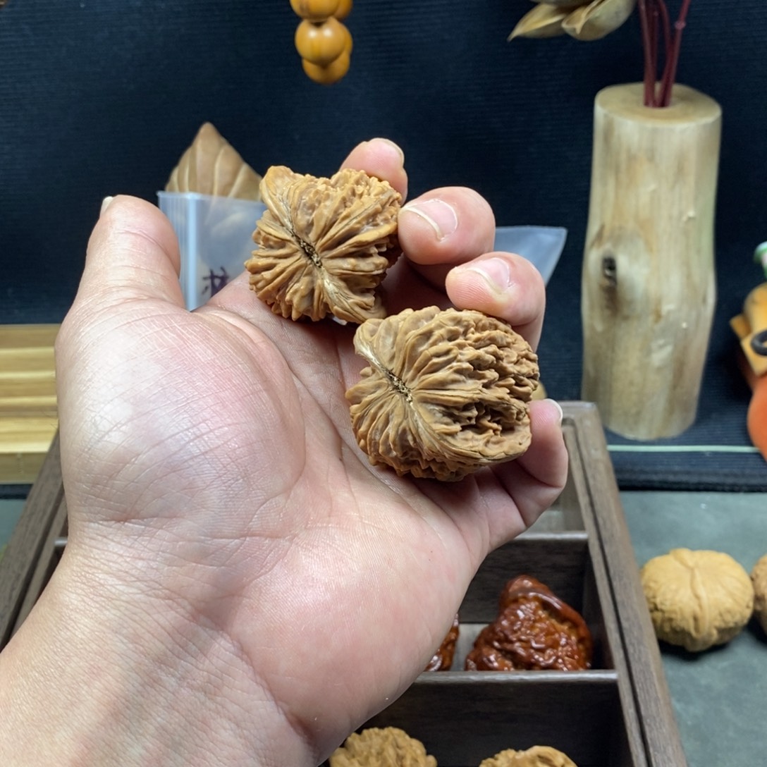 我的生活方式是什么时候