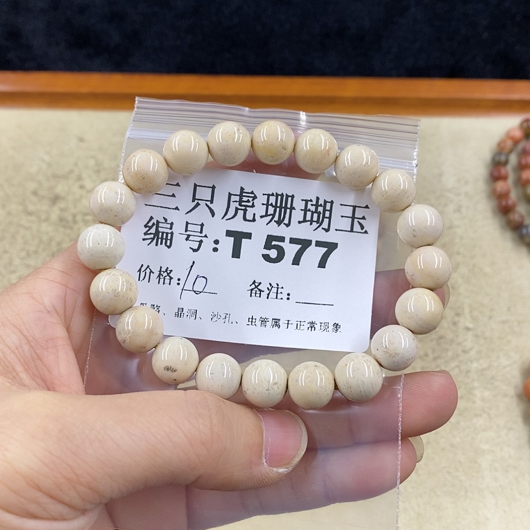硅化珊瑚（珊瑚玉）1未镶嵌小****界