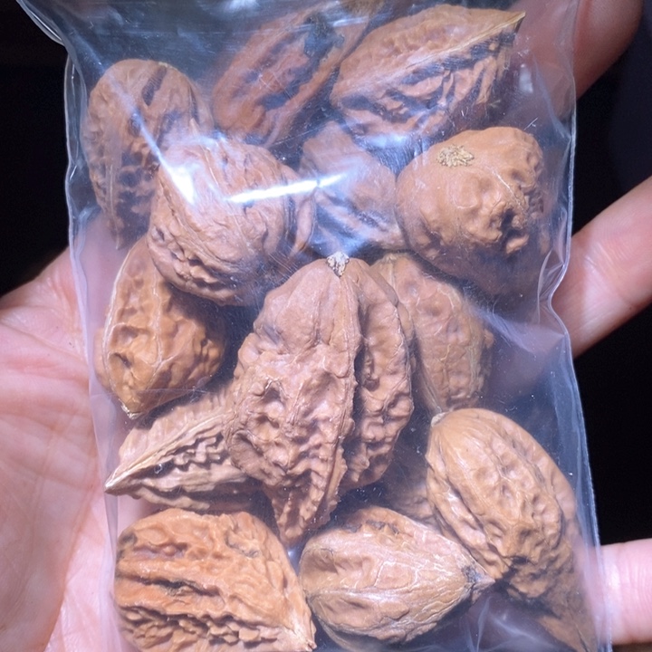 文玩核桃把件东北野生楸子小美123