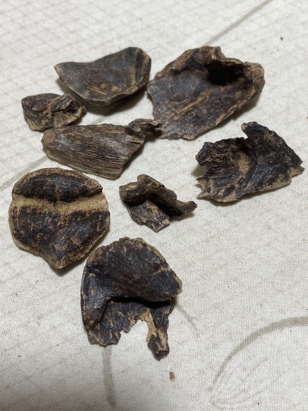 沉香壳子5克，黑油厚肉，天然野古树香，清香带甜，花香凉润。