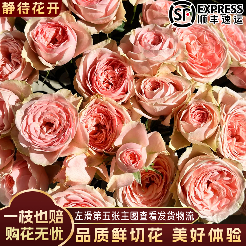 【静待花开】缤纷花仙子-稀有多头玫瑰 云南鲜花斗南花卉顺丰高品质