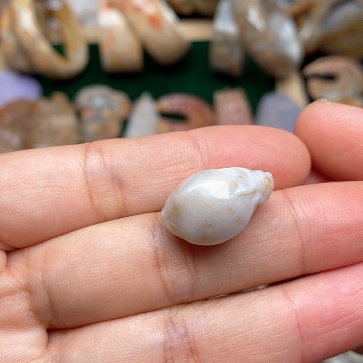 硅化珊瑚（珊瑚玉）手镯未镶嵌